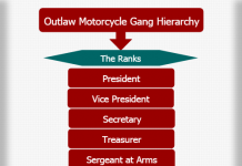 Street Gang Hierarchy | Hierarchystructure.com