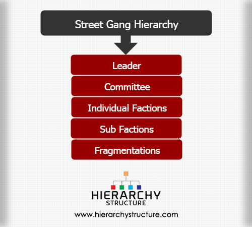 Street Gang Hierarchy