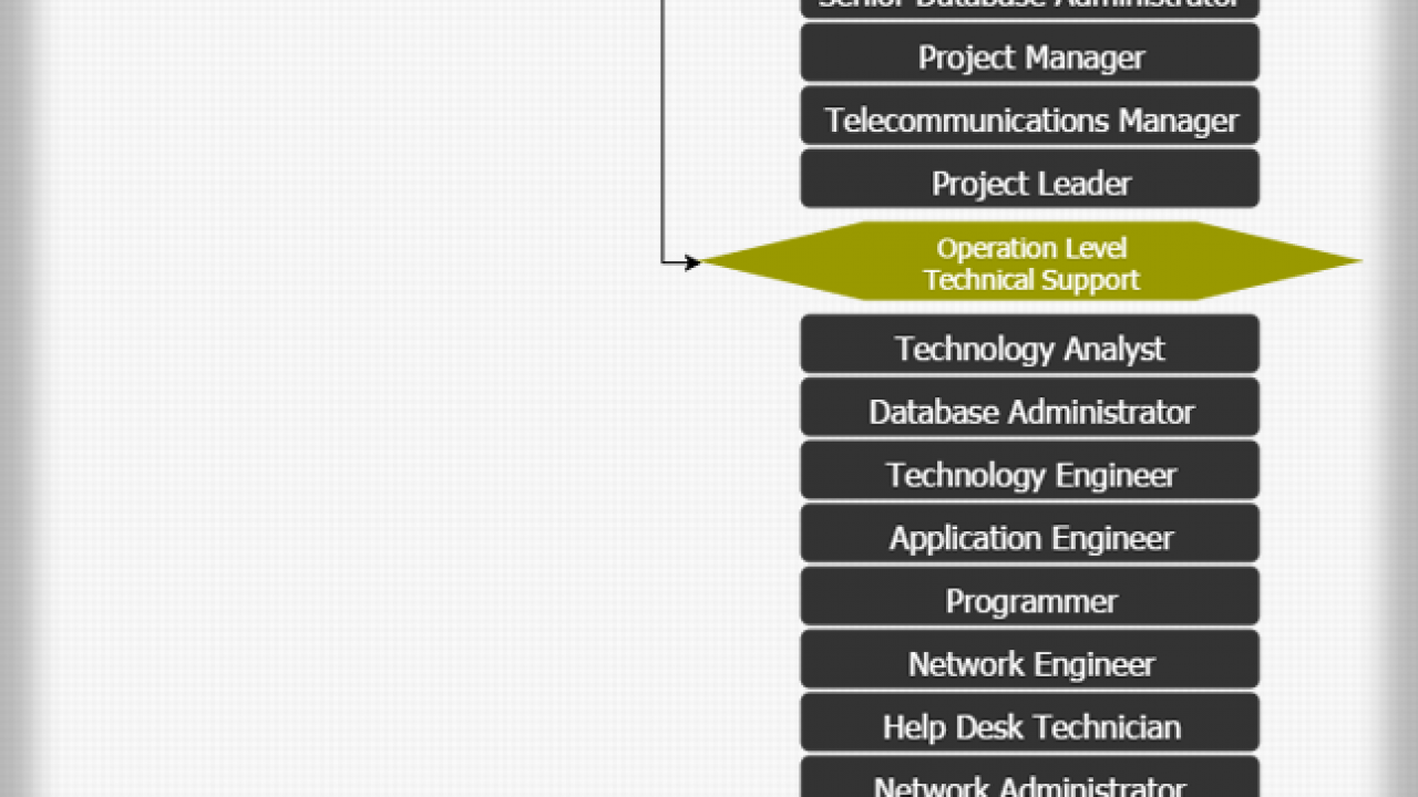 Technical Support Department Hierarchy Organizational Structure