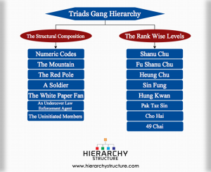 Triads Gang Hierarchy | Hierarchystructure.com