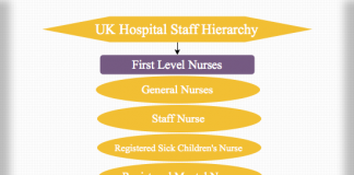 hierarchy hospital staff tag structure