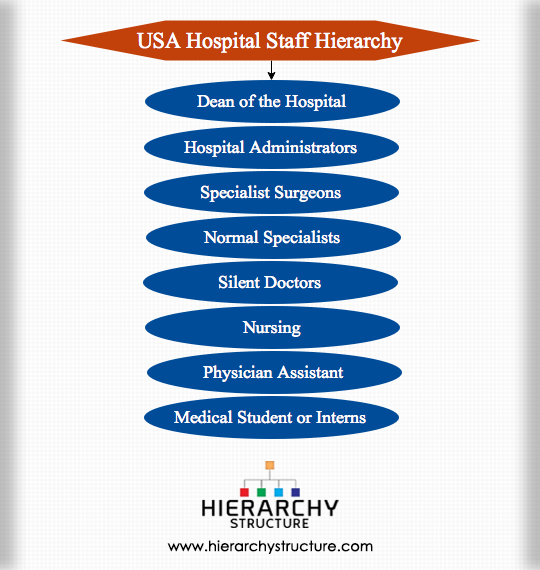 USA Hospital Staff Hierarchy