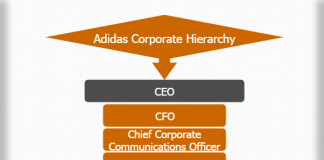 Adidas Corporate Hierarchy Hierarchy Structure