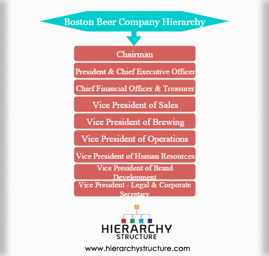 Boston Beer Company Hierarchy