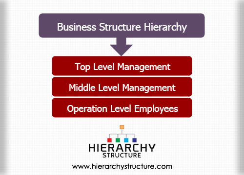 Business Structure Hierarchy