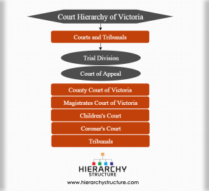 hierarchy courts tribunals