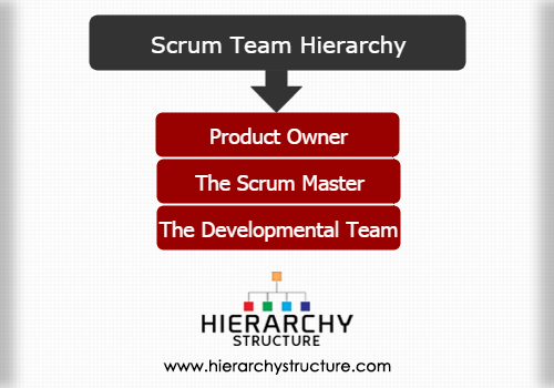 Scrum Team Hierarchy