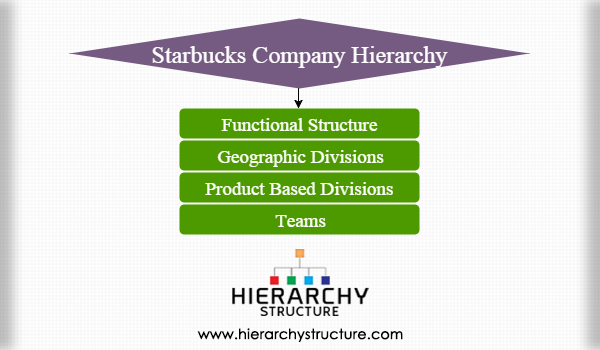 Starbucks Company Hierarchy