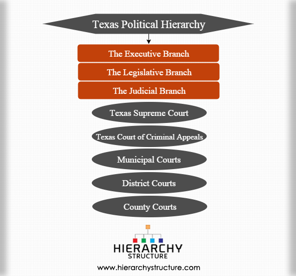 Texas Political Hierarchy