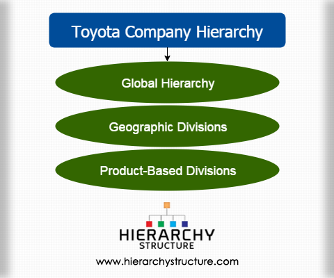 Toyota Company Hierarchy