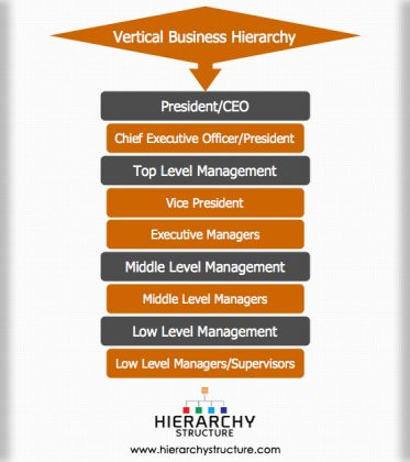 Hierarchy of Vertical Business Structure | Hierarchystructure.com
