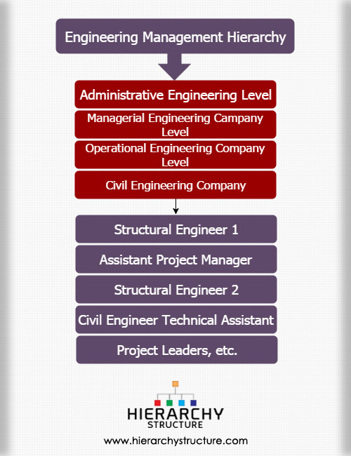 Engineering Management Hierarchy