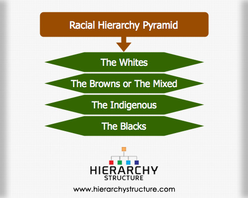 structural functionalism theory racial stratification in healthcare