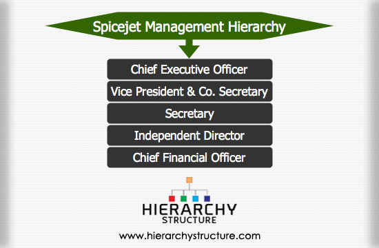 Spicejet Management Hierarchy