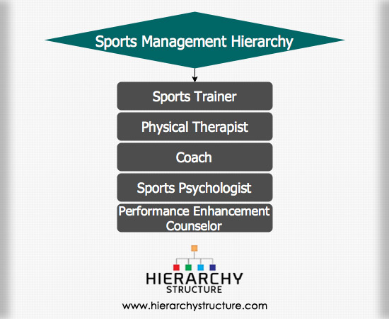 Sports Management Hierarchy