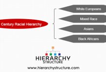 Racial Hierarchy In South Africa