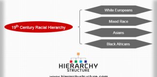 Racial Hierarchy-Racial hierarchy structure for various countries