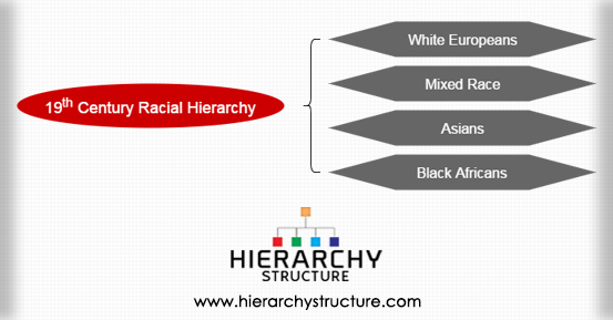 19th Century Racial Hierarchy
