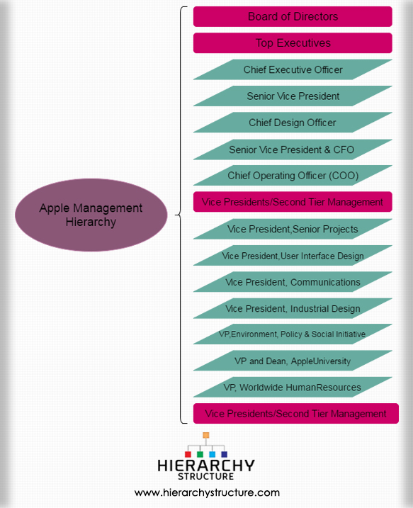 Apple Management Hierarchy Chart Hierarchy