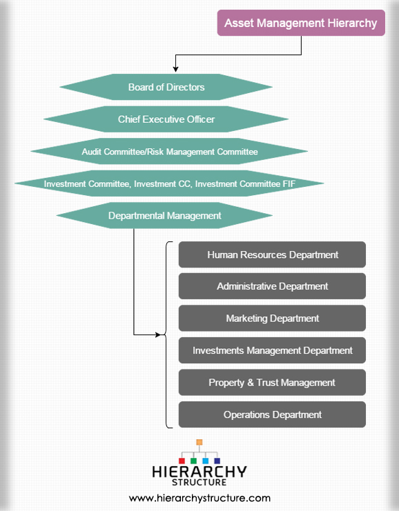 Asset Management Hierarchy