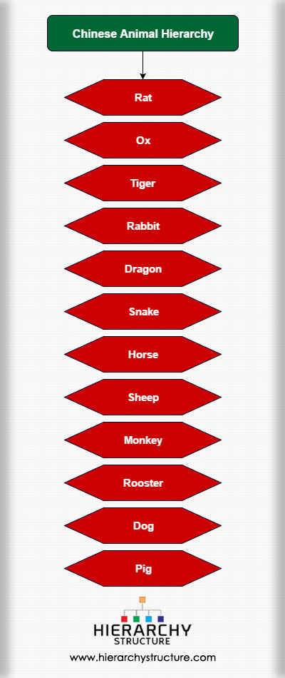 Chinese Animal Hierarchy