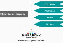 Racial Hierarchy in South Africa | Hierarchstructure.com