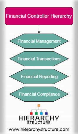 Financial Controller Hierarchy