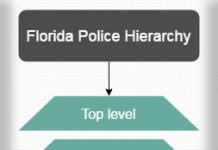 Indian Police Service Hierarchy Chart Hierarchystructure Com