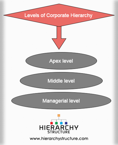 Levels of Corporate Hierarchy