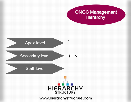 ONGC Management Hierarchy
