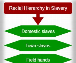 Racial Hierarchy-Racial hierarchy structure for various countries