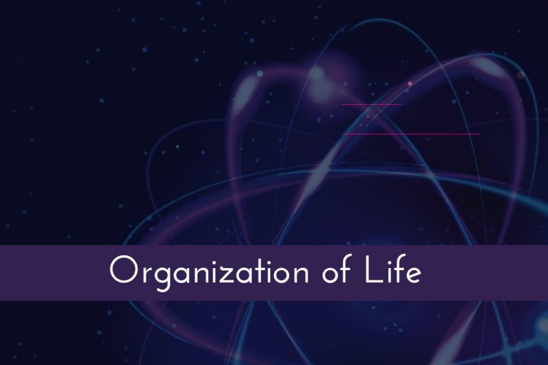 Organization of Life – The Hierarchy