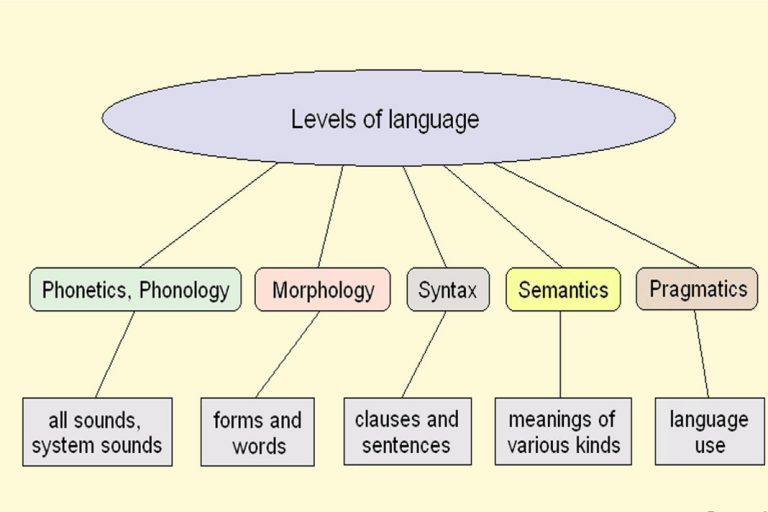 Hierarchical Structure Of Language