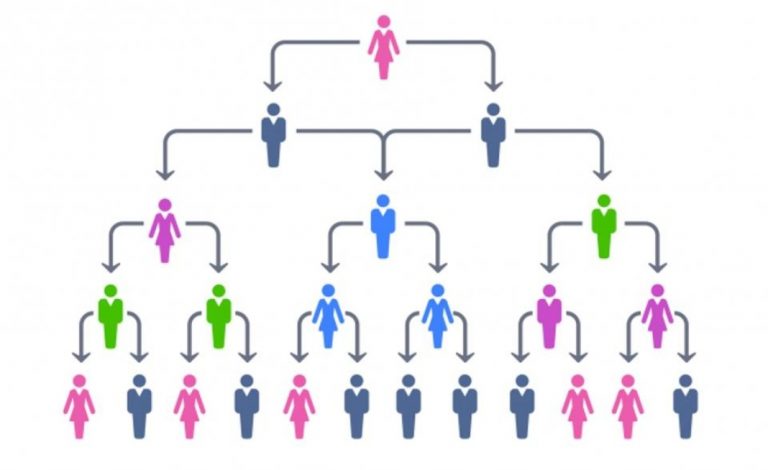 What Are The Advantages of a Hierarchical Organizational Structure?