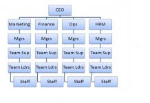 Hierarchy of the Catholic Church | Church hierarchystructure