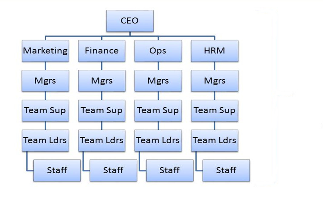 Diagram Hierarchical Structure Hierarchy Organization Structure Images